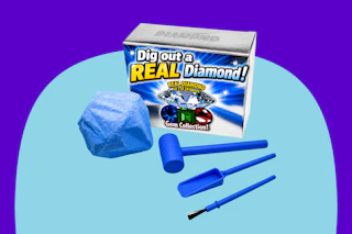 Daily Deal Diamond Dig Kit