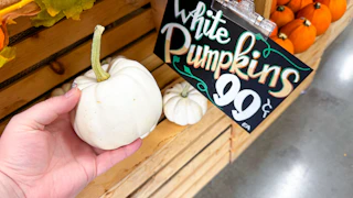 trader-joes-sept-2