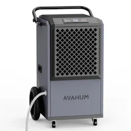 Dehumidifier with Pump