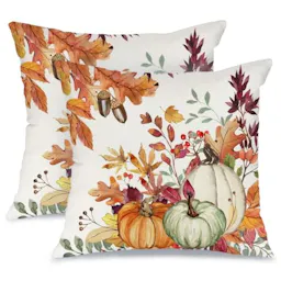 Fall Pumpkin Throw Pillow Covers 2-Pack