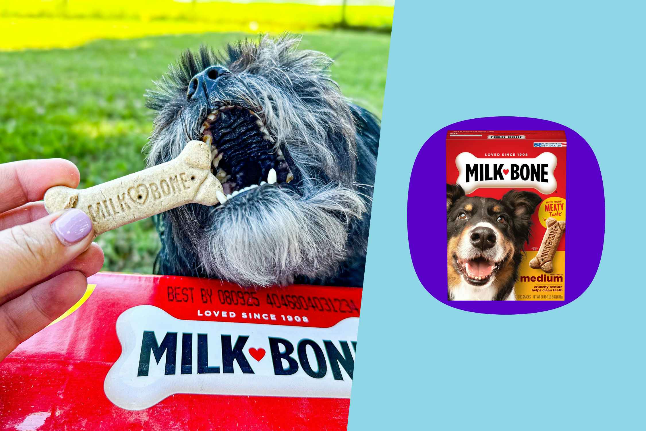 Milk-Bone Dog Treats: Get 3 Boxes for $6.57 During Amazon Pet Day