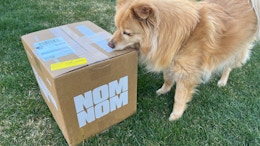 Score 60% Off Two Weeks of Premium, Fresh Dog Food from Nom Nom