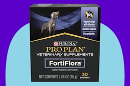 Purina Pro Plan FortiFlora Dog Probiotic on a blue background.