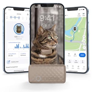 Smart Cat GPS Tracker