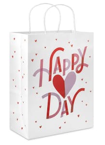 Hallmark Valentine's Day Gift Bag