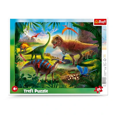 Jigsaw Puzzle