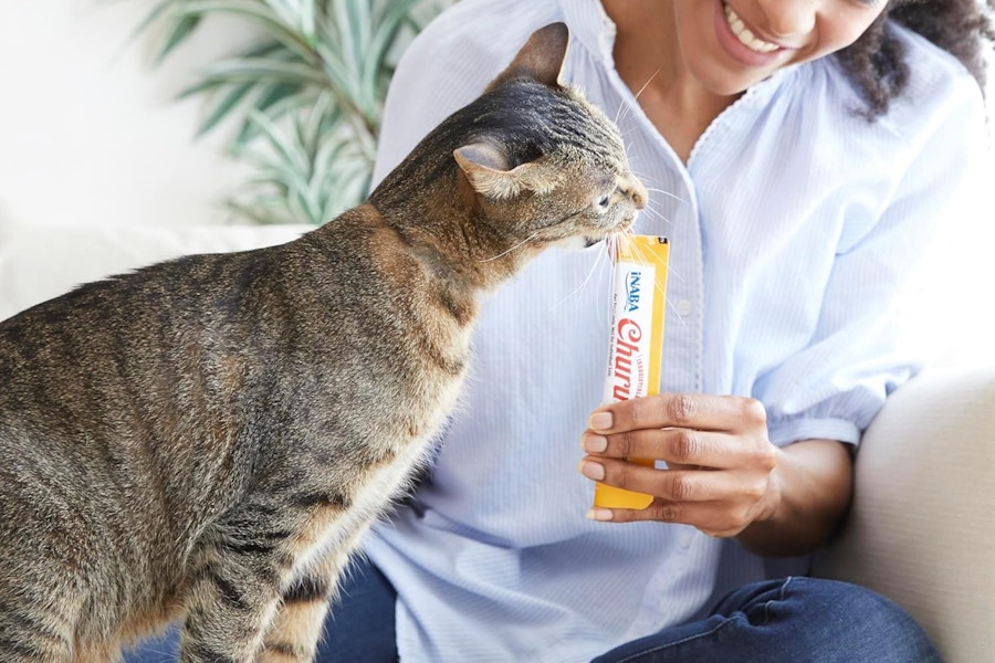 amazon-inaba-churu-cat-treats