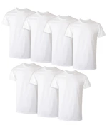 Hanes Men's Crewneck 7-Pack