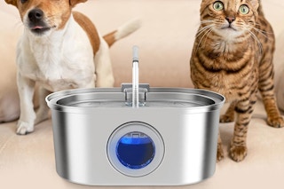 pet-water-fountain-amazon--