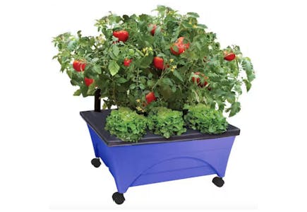 City Pickers Raised Garden Bed