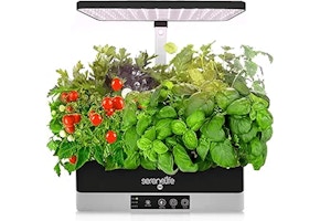 Indoor Herb Garden Kit
