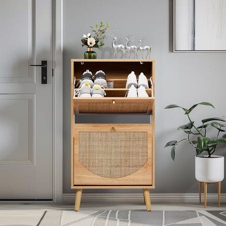 2-Drawer Rattan Shoe Cabinet