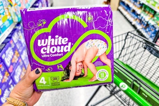 publix white cloud diapers handheld
