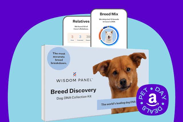 Breed Discovery Dog DNA Kit, Only $68 for Amazon Pet Day card image