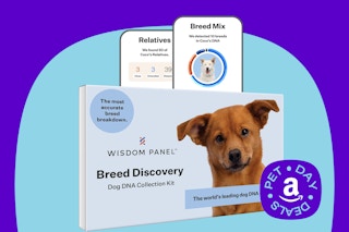 dog DNA test