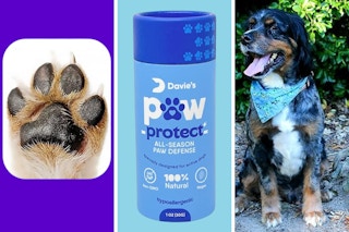A dog's healthy paw pads; a stick of Davie's Paw Protect Balm; Davie, a happy dog with smooth paws