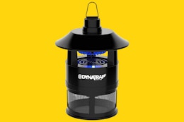 DynaTrap Flying Insect Trap, Just $38.79 on Amazon (Reg. $76.99) card image