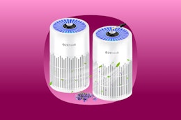 HEPA Air Purifier 2-Pack, Only $36.49 on Amazon card image