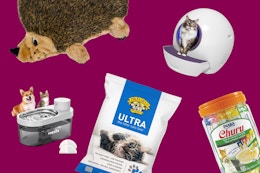 Amazon's Best Pet Deals: Save on Treats, Toys, Supplies, and More card image