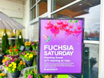 fred meyers fuchsia saturday signage 2026