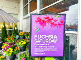 fred meyers fuchsia saturday signage 2026