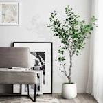 Artificial Ficus Tree