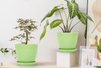 Plant Pots Indoor with Saucers B0CNJJ2HM2