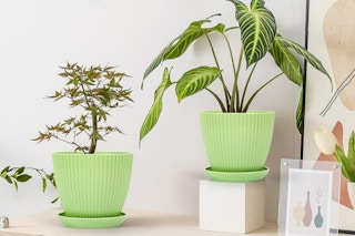 Plant Pots Indoor with Saucers B0CNJJ2HM2