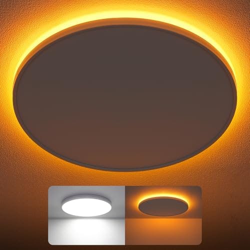 LED Flush Mount Ceiling Light 2-Pack