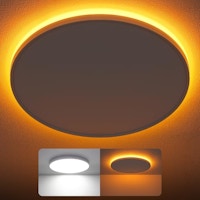LED Flush Mount Ceiling Light 2-Pack
