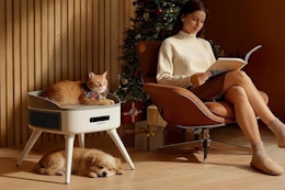 Space Heater with Heated Pet Bed B0FPR5KL3S