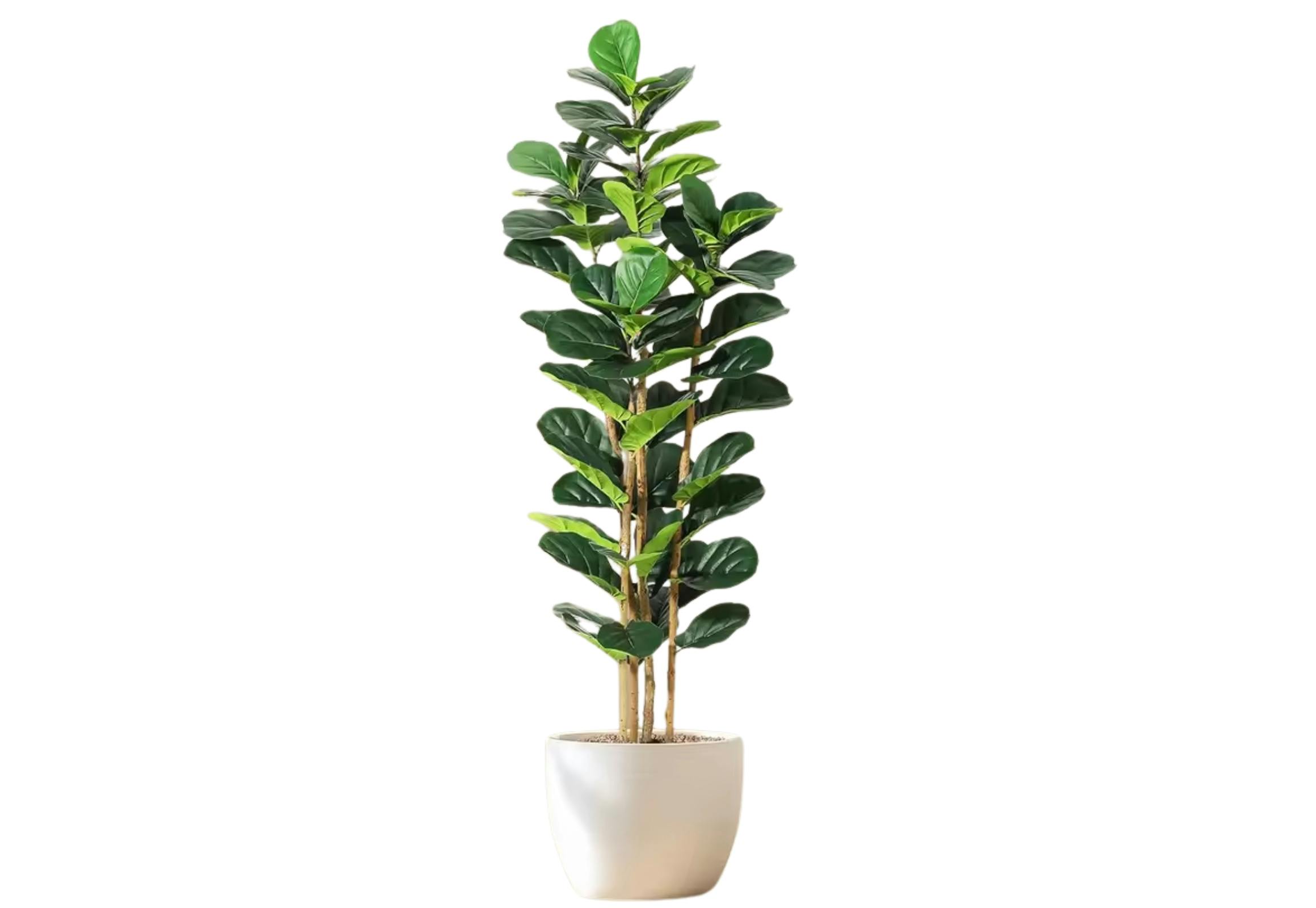 Artificial Fig Tree