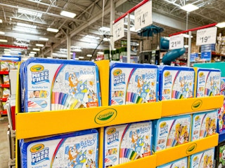 crayola color wonder sets in bluey or disney princess