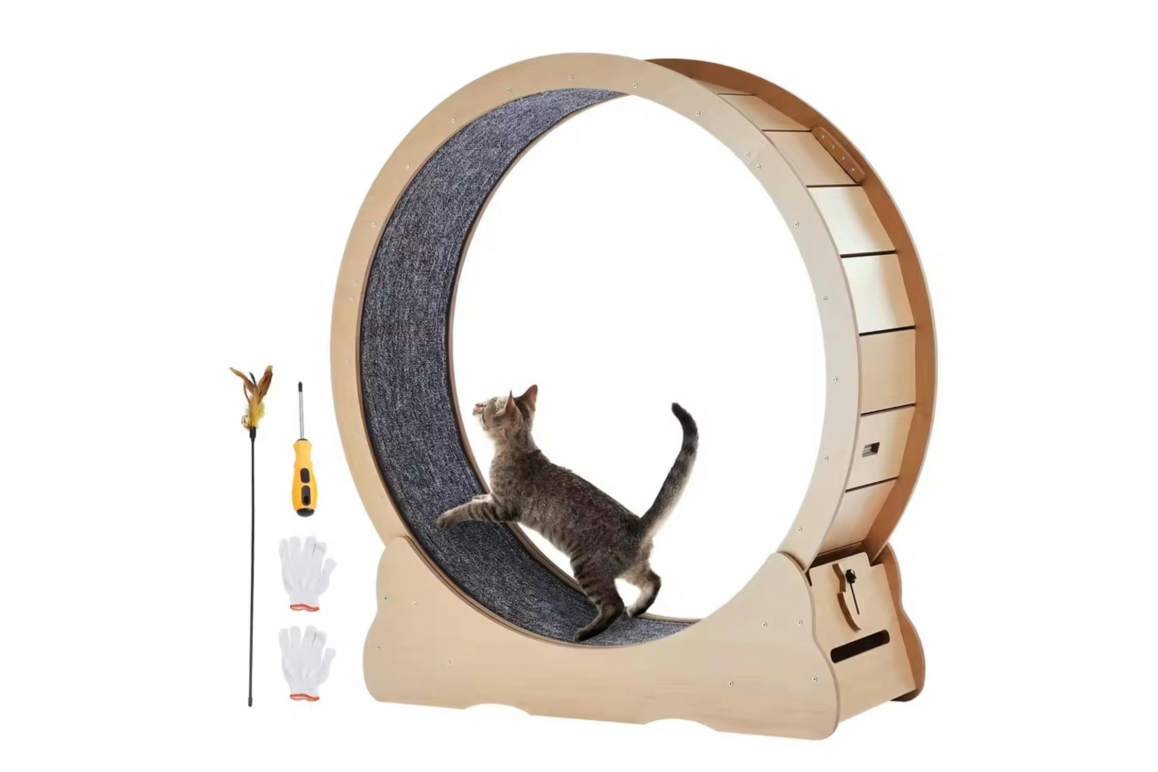 Wooden Cat Exercise Wheel