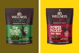 Wellness Core Dog Treats, as Low as $1.81 With Amazon Coupons card image