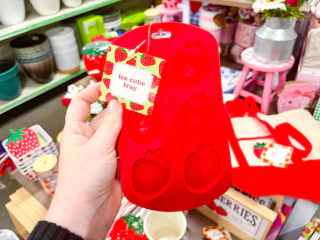 dollar general strawberry ice cub tray