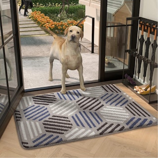 A cute dog standing on an entryway doormat.