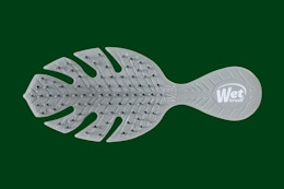 Amazon's Choice: Wet Brush Mini Detangler, Only $4.56 card image