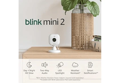 Blink Mini 2