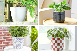 4 lifestyle images of planters from Walmart.com