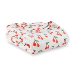 VelvetLoft Plush Blanket