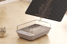 a woman pouring a cat litter mat into a litter box