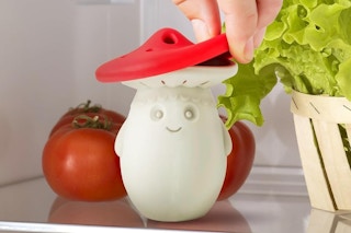a fridge deodorizer in a mushroom shape