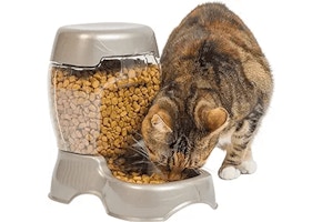 Petmate Pet Feeder