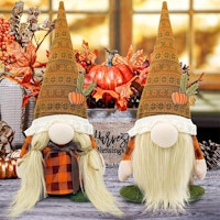 Fall Gnome Decor