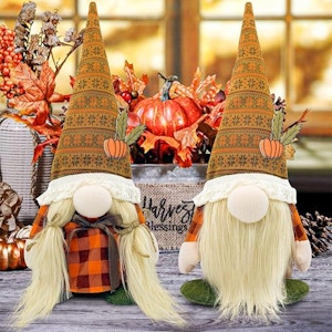 Fall Gnome Decor