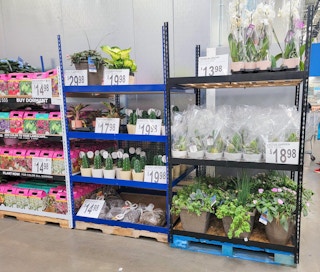 sams club plants 06062022 1654703766 1654703766