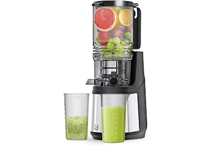 Masticating Juicer