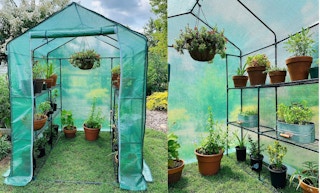 amazon greenhouse 2 1681490355 1681490355 e1681490371298