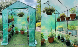 amazon greenhouse 2 1681490355 1681490355 e1681490371298